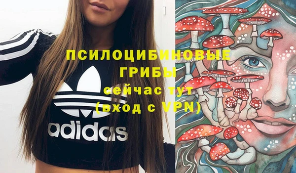 прущая мука Дмитриев