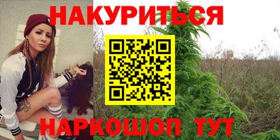 ALPHA PVP Гатчина
