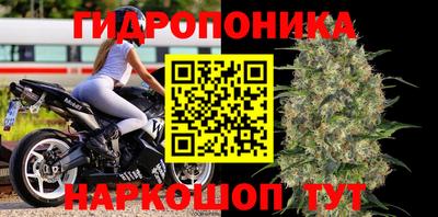 СК Гагарин