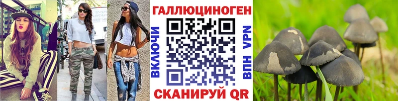 Псилоцибиновые грибы прущие грибы  Моздок 