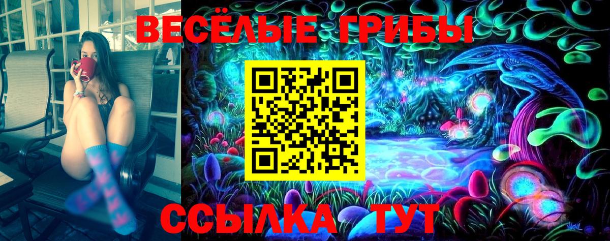 Галлюциногенные грибы прущие грибы Моздок
