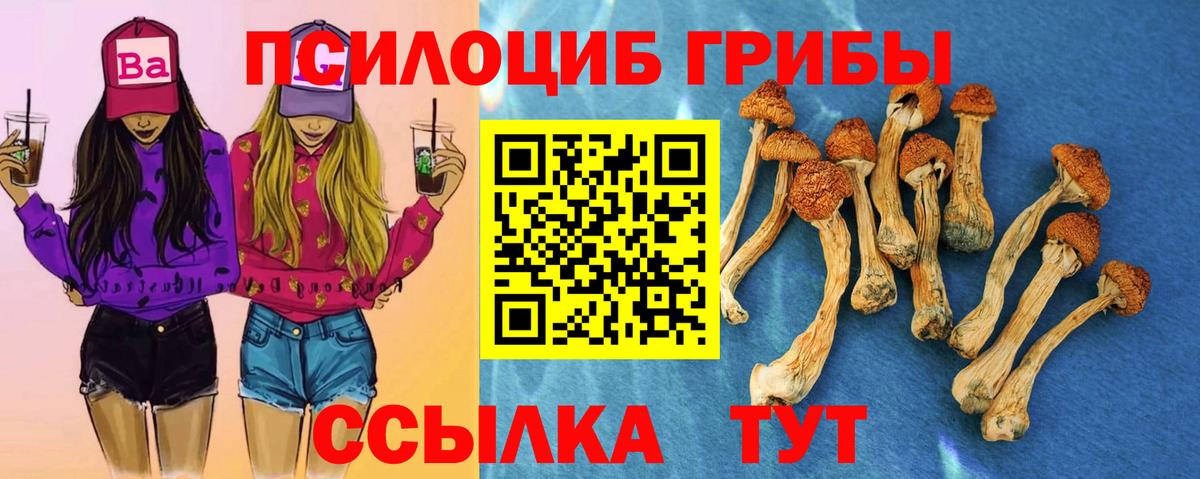 Моздок  цены   Вход с VPN  Псилоцибиновые грибы мухоморы 